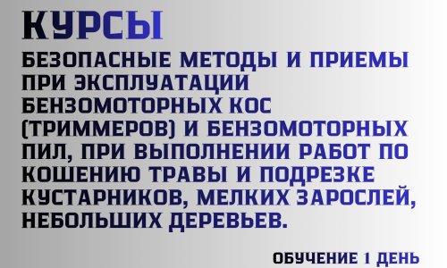 Курсы. Безопасные методы и приемы при эксплуатации бензомоторных кос (триммеров) и бензомоторных пил, при выполнении работ по кошению травы и подрезке кустарников, мелких зарослей, небольших деревьев. 
